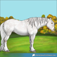 Horse Color:Platinum White Spotted Silver Classic Champagne Dun
