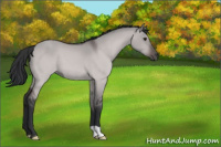 Horse Color:Platinum Brown Dun 