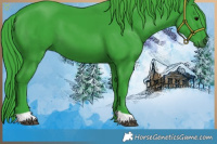 Horse Color:Watercolor Black 