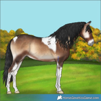 Horse Color:Liver Red Onyx Tobiano Rabicano 