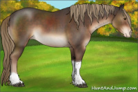 Horse Color:Liver Chestnut Sabino Tobiano Varnish