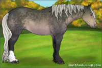 Horse Color:Silver Brown Chinchilla 