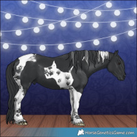 Horse Color:Black Chinchilla Tobiano 