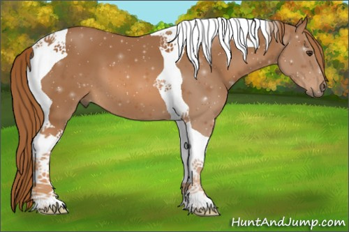 Horse Color:Chestnut Tobiano 