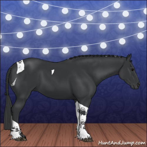 Horse Color:Black Tobiano 