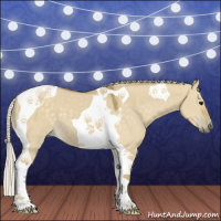 Horse Color:Silver Smoky Grullo Tobiano 