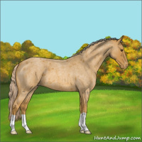 Horse Color:Palomino Roan Varnish 