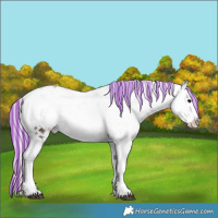 Horse Color:Painted Silver Bay Ice Onyx Sabino 