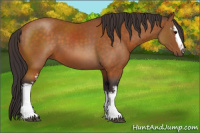 Horse Color:White Spotted Buckskin 