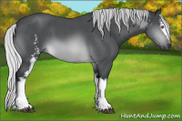 Horse Color:White Spotted Silver Brown Chinchilla Roan