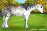 Horse Color:Brown Ice Onyx Sabino