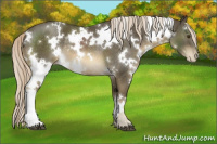 Horse Color:White Spotted Chocolate Palomino Mushroom Varnish Rabicano 