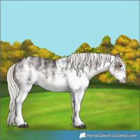 Horse Color:White Spotted Liver Chestnut Mushroom Rabicano 