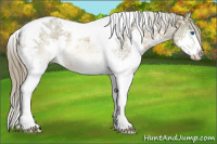 Horse Color:Chocolate Palomino Ice Mushroom Splash Tobiano 