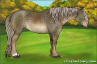 Horse Color:Chocolate Palomino Mushroom Sabino Rabicano 