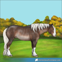 Horse Color:Liver Chestnut Mushroom Rabicano 