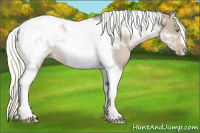 Horse Color:Liver Red Dun Pearl Mushroom Tobiano