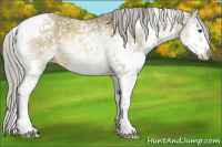 Horse Color:Chocolate Palomino Ice Mushroom Splash Tobiano 