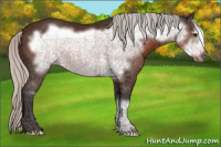 Horse Color:Silver Brown Mushroom Frame 