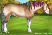Horse Color:Painted Brown Onyx Sabino Splash Rabicano 