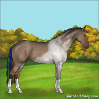 Horse Color:Painted Liver Red Dun Roan