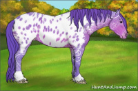 Horse Color:Watercolor Brown Ice Appaloosa 