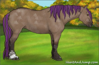 Horse Color:Painted Liver Red Dun Sabino 
