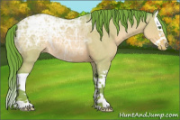 Horse Color:Watercolor Sable Champagne Ice Dun Splash Varnish