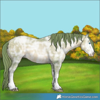 Horse Color:Watercolor White Spotted Buckskin Ice Pearl Rabicano 