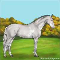 Horse Color:Watercolor Silver Brown Pearl Dun Sabino 