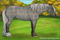 Horse Color:Plaid  Silver Brown Roan Rabicano 