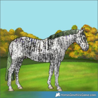 Horse Color:ERROR: UNKNOWN ANOMALY and Watercolor Brown Ice Roan Pearl Onyx Sabino