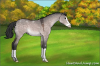 Horse Color:Platinum Bay Dun Splash 