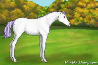 Horse Color:Painted Chocolate Silver Classic Champagne Chinchilla Ice Splash Tobiano 