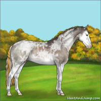 Horse Color:Painted Silver Brown Ice Dun Mushroom Sabino Splash 