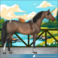 Horse Color:Brown Dun Tobiano 
