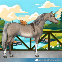Horse Color:Silver Brown Dun Tobiano 