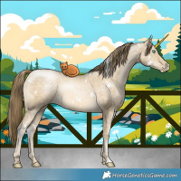 Horse Color:White Spotted Buckskin Pearl Dun 