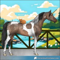 Horse Color:Brown Dun Tobiano 