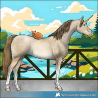 Horse Color:Buckskin Pearl Dun Tobiano 