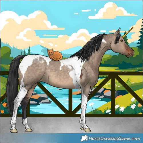 Horse Color:Brown Dun Tobiano