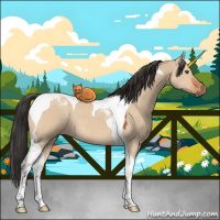 Horse Color:Brown Dun Tobiano 