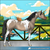 Horse Color:Brown Dun Tobiano 