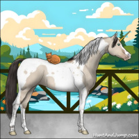 Horse Color:Sable Champagne Dun Tobiano 