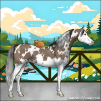 Horse Color:White Spotted Liver Red Dun Splash