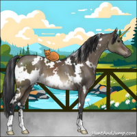Horse Color:White Spotted Brown Dun