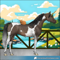 Horse Color:Brown Dun Tobiano 