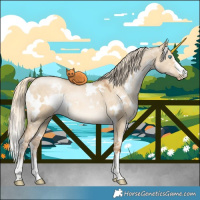 Horse Color:White Spotted Chocolate Palomino Pearl Dun