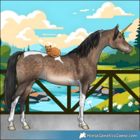 Horse Color:Brown Dun Tobiano 