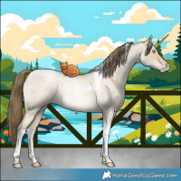 Horse Color:Smoky Grullo Roan Pearl Tobiano 